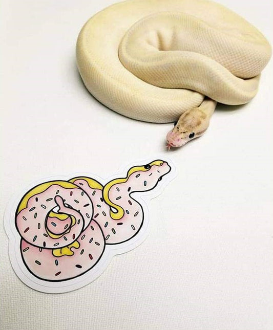 Donut Snake Sticker